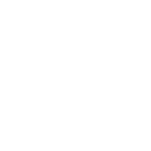 Dice Den 500x500_white